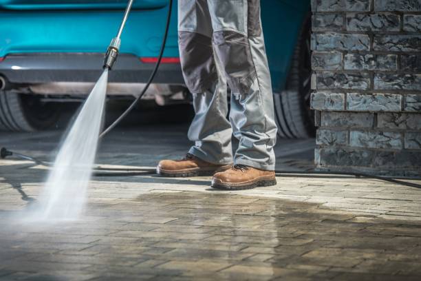 Best Soft Washing for Delicate Surfaces in Sulphur Springs, TX