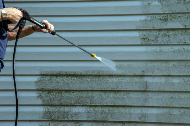 Best Sidewalk and Walkway Pressure Cleaning in Sulphur Springs, TX